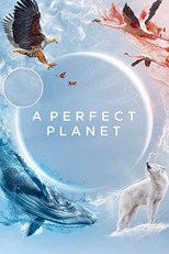 A Perfect Planet - First Season (2021) subtitles - SUBDL poster