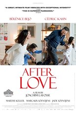 After Love (L'économie du couple)
