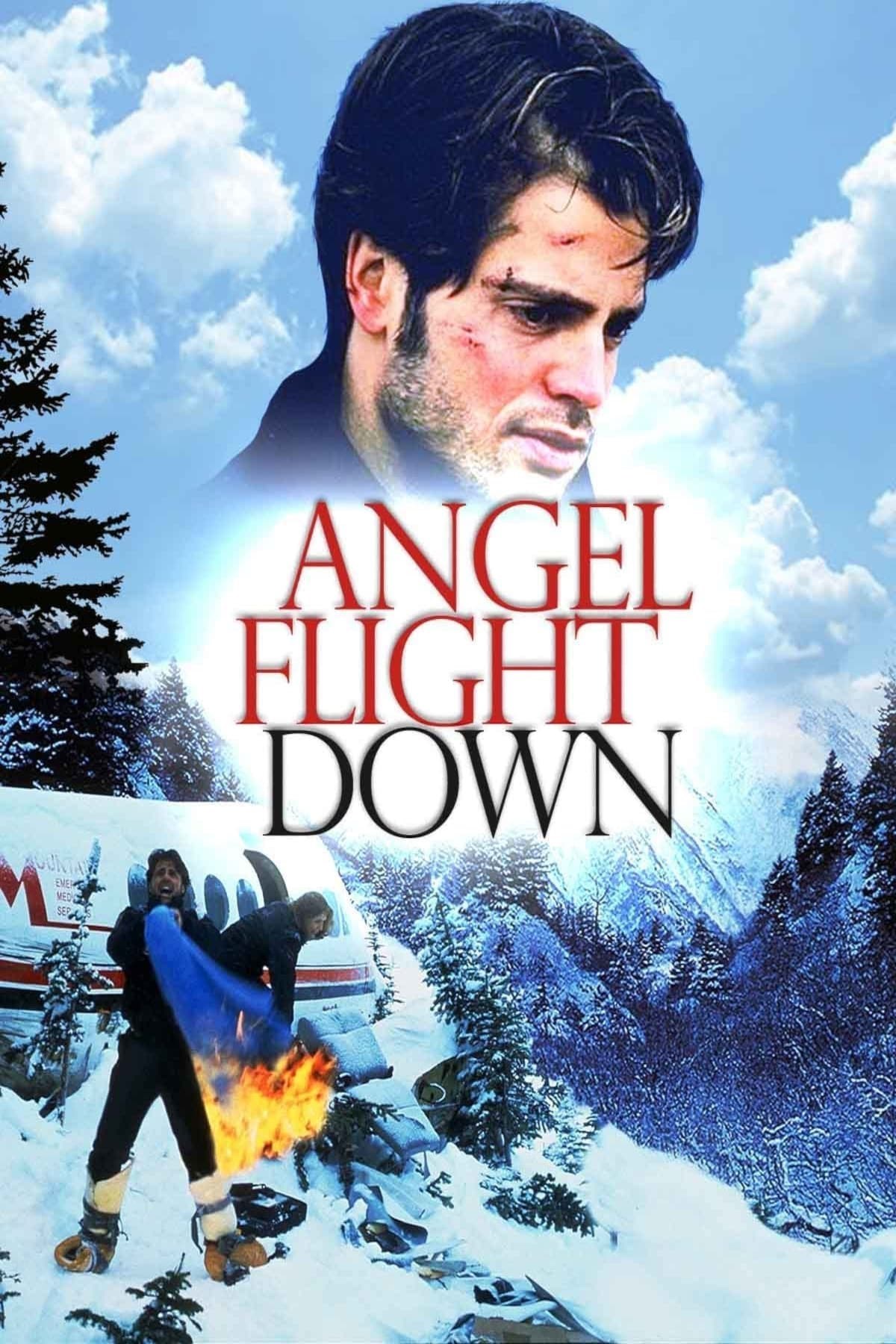 Angel flight down true story