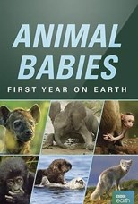 Animal Babies: First Year on Earth - First Season