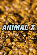 Animal X - First Season