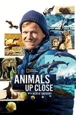 Animals Up Close with Bertie Gregory - First Season