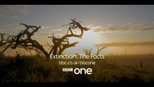 BBC - Extinction: The Facts