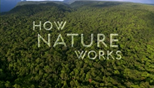 BBC How Nature Works: Seasonal Forest (2012) subtitles - SUBDL poster