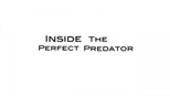 BBC Inside the Perfect Predator (2010) subtitles - SUBDL poster