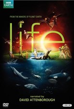 BBC: Life   Complete Series (2009) subtitles - SUBDL poster