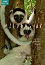 BBC: Madagascar (2011) subtitles - SUBDL poster