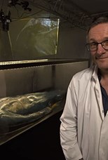 BBC Michael Mosley vs Superbugs