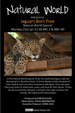 BBC Natural World Special: Jaguars Born Free