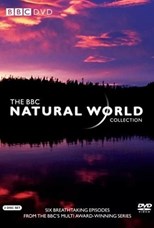 BBC Natural World - Thirty-Second Season