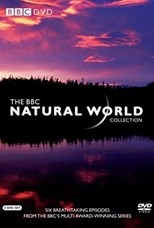 bbc-natural-world-twenty-seventh-season