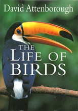 BBC: The Life of Birds (2002) subtitles - SUBDL poster