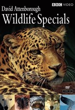 BBC Wildlife Specials (1997) subtitles - SUBDL poster