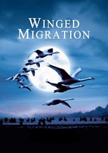 Winged Migration (The Travelling Birds / Le Peuple migrateur)