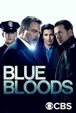 Blue Bloods - Thirteenth Season (2022) subtitles - SUBDL poster