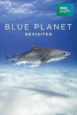 Blue Planet Revisited (2020) subtitles - SUBDL poster