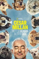 Cesar Millan: Better Human Better Dog - First Season