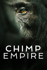 Chimp Empire - First Season