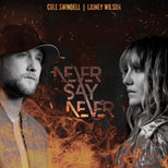 Cole Swindell & Lainey Wilson - Never Say Never