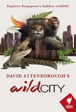 David Attenborough's Wild City - First Season