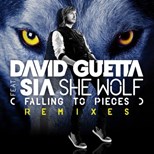 David Guetta - She Wolf (Falling the pieces) ft Sia