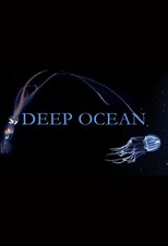 Deep Ocean - First Season (2015) subtitles - SUBDL poster