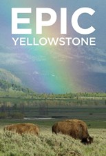 Epic Yellowstone - First Season