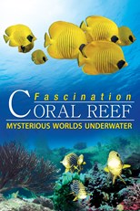 Fascination Coral Reef: Mysterious Worlds Underwater