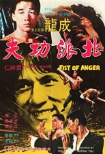 Fist of Anger (Ding tian li di)