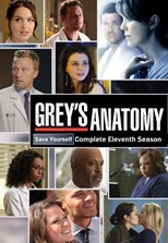Grey's Anatomy - Eleventh Season