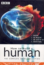 How To Build A Human - Mini (2001) subtitles - SUBDL poster