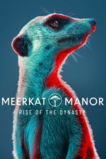 Meerkat Manor: Rise of the Dynasty - First Season