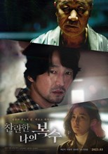 My Shining Revenge (The Glorious My Revenge / Anranhan Naui Boksu / 찬란한 나의 복수) (2023) subtitles - SUBDL poster