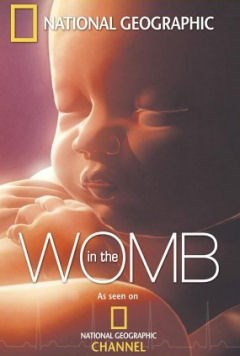 Life Before Birth - In the Womb - YouTube
