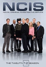 NCIS: Naval Criminal Investigative Service (Navy CIS) - Twelfth Season