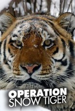 Operation Snow Tiger - First Season