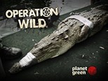 Operation Wild - First Season