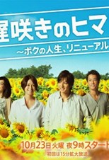 Osozaki no Himawari (遅咲きのヒマワリ) (2012) subtitles - SUBDL poster