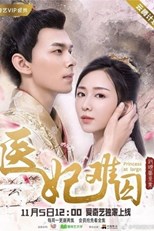 Princess at Large (Yi fei nan qiu / 醫妃難囚)