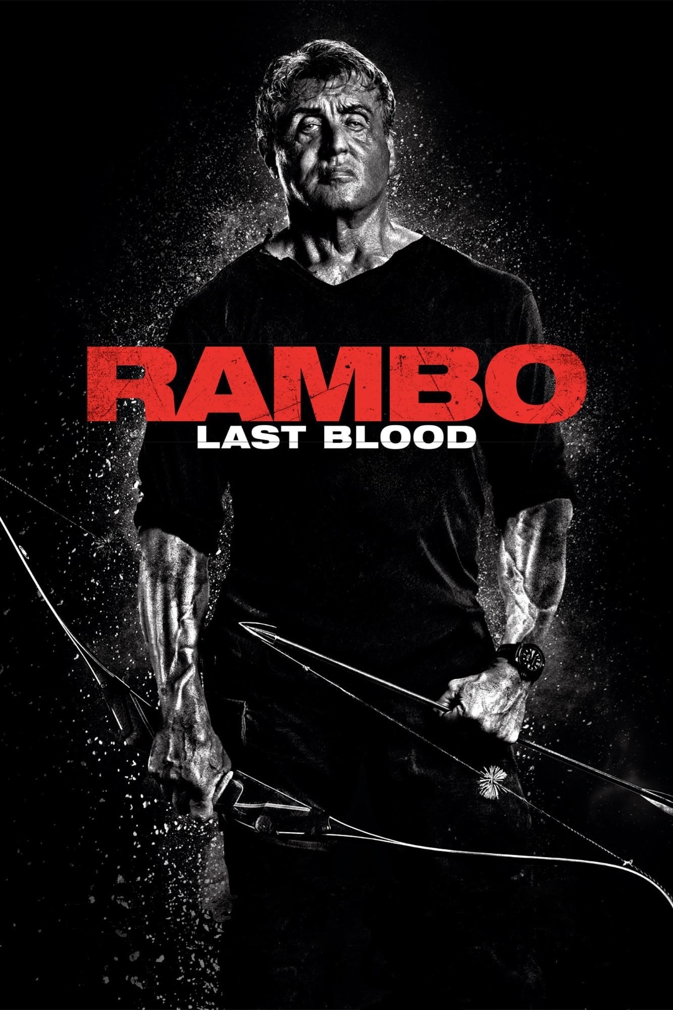 Rambo 5 Last Blood (2019) Rambo-last-blood.165266