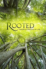 Rooted - First Season (2018) subtitles - SUBDL poster