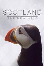 Scotland: The New Wild - First Season