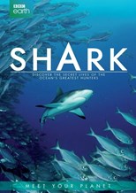 Shark - First Season