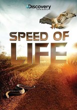 Speed of Life (2010) subtitles - SUBDL poster