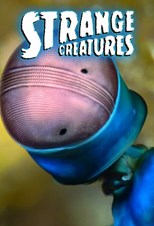 Strange Creatures - First Season