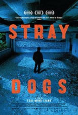 stray-dogs