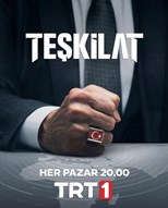 Teşkilat (Ankara) - First Season (2021) subtitles - SUBDL poster