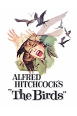 the-birds-1963