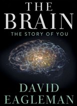 The Brain with Dr. David Eagleman - First Season