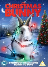 The Christmas Bunny